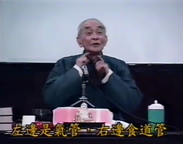 养生课 养生