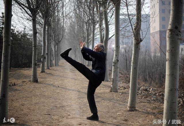 形意拳 易筋经